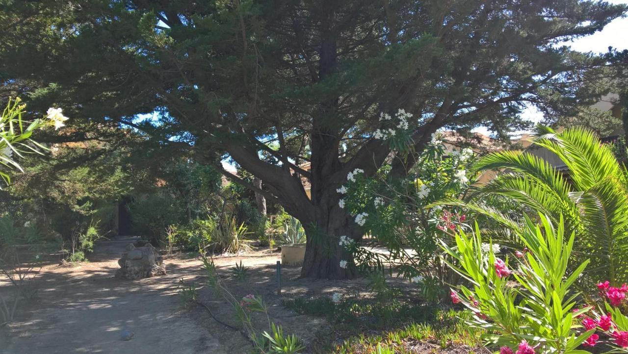 Appartement 6 pers au bord de la méditerranée Leucate Esterno foto