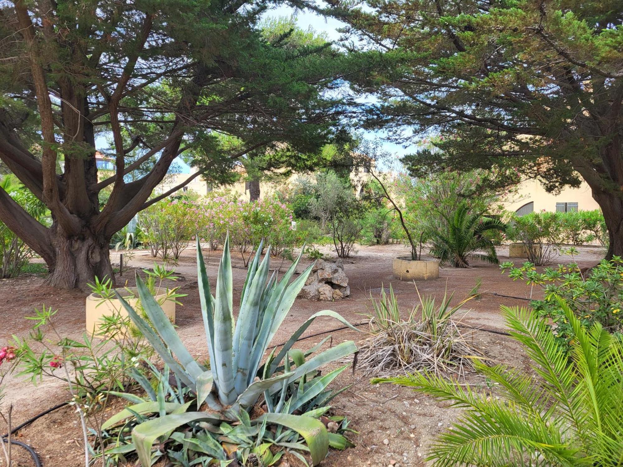 Appartement 6 pers au bord de la méditerranée Leucate Esterno foto